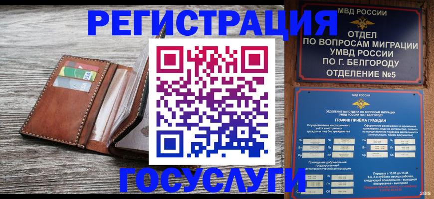 временная регистрация гарантия в Сунже